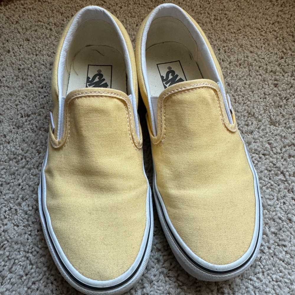 Vans slip-on shoes